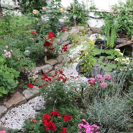 Ferienwohnung Zum Rotem Karpfen แอร์ฟวร์ท ภายนอก รูปภาพ
